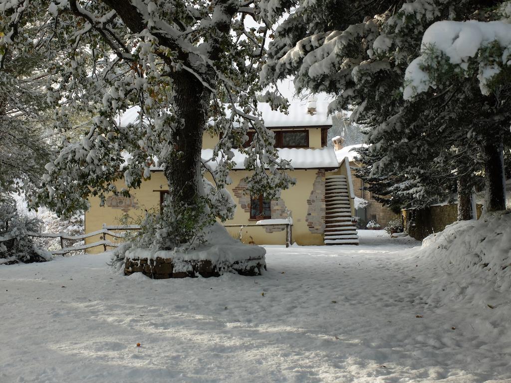 Appartamenti Monticello Assisi Exterior photo